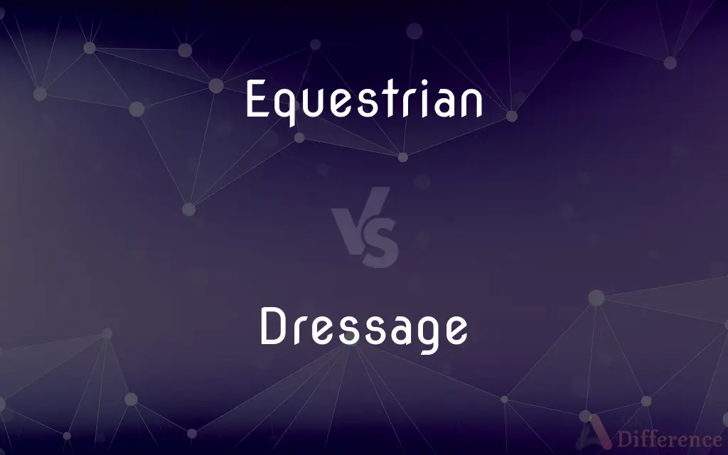 Equestrian vs. Dressage — What's the Difference?