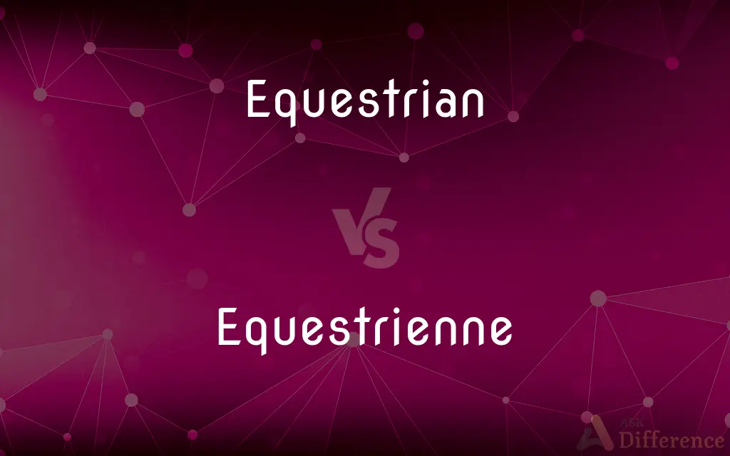 Equestrian vs. Equestrienne — What's the Difference?