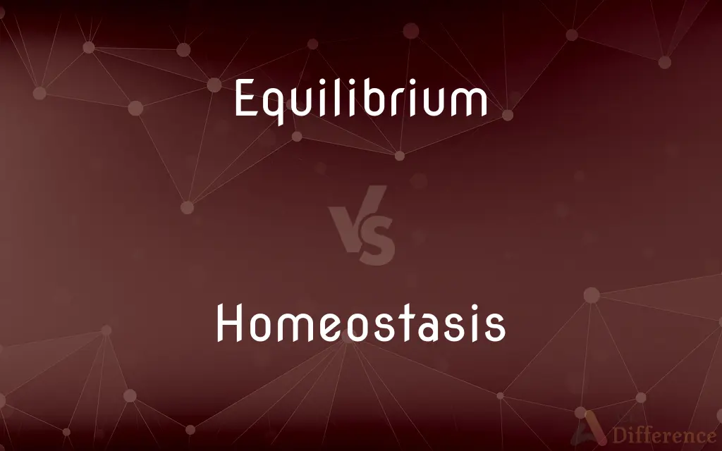Equilibrium vs. Homeostasis — What's the Difference?