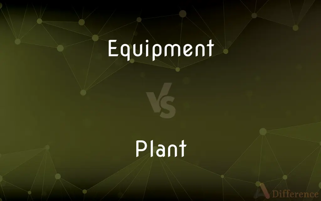 Equipment vs. Plant