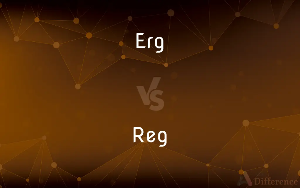 Erg vs. Reg — What's the Difference?