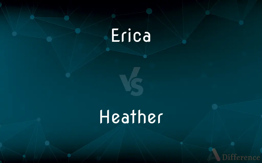 Erica vs. Heather — What's the Difference?