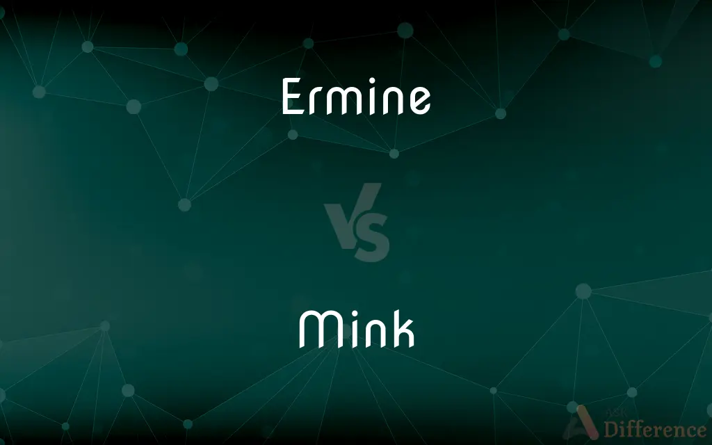 Ermine vs. Mink — What's the Difference?
