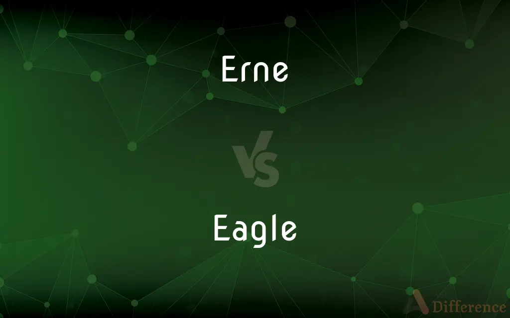 Erne vs. Eagle — What's the Difference?