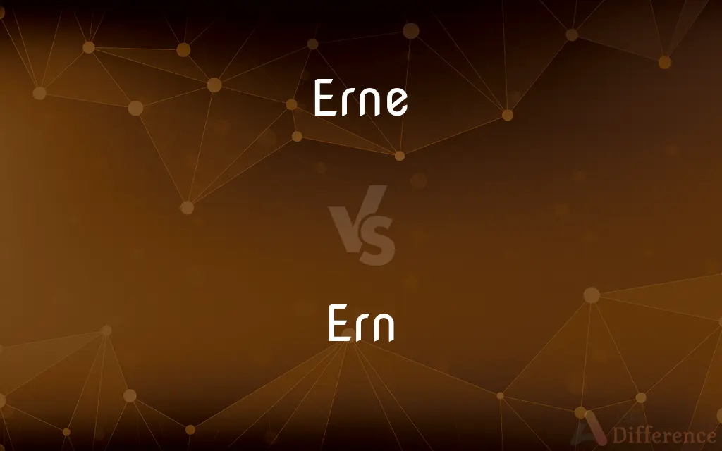 Erne vs. Ern — What's the Difference?