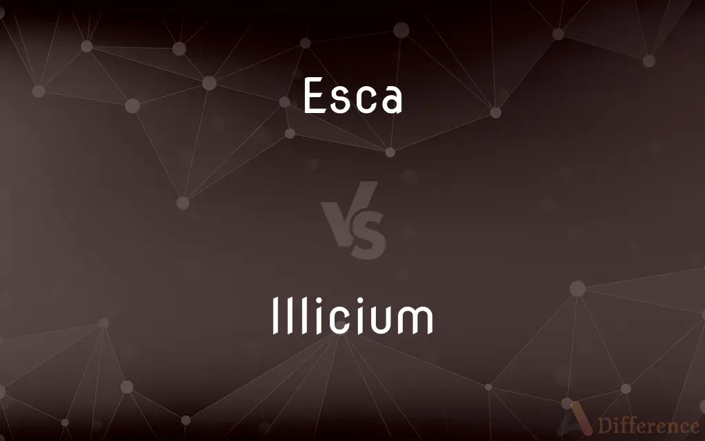 Esca vs. Illicium — What's the Difference?