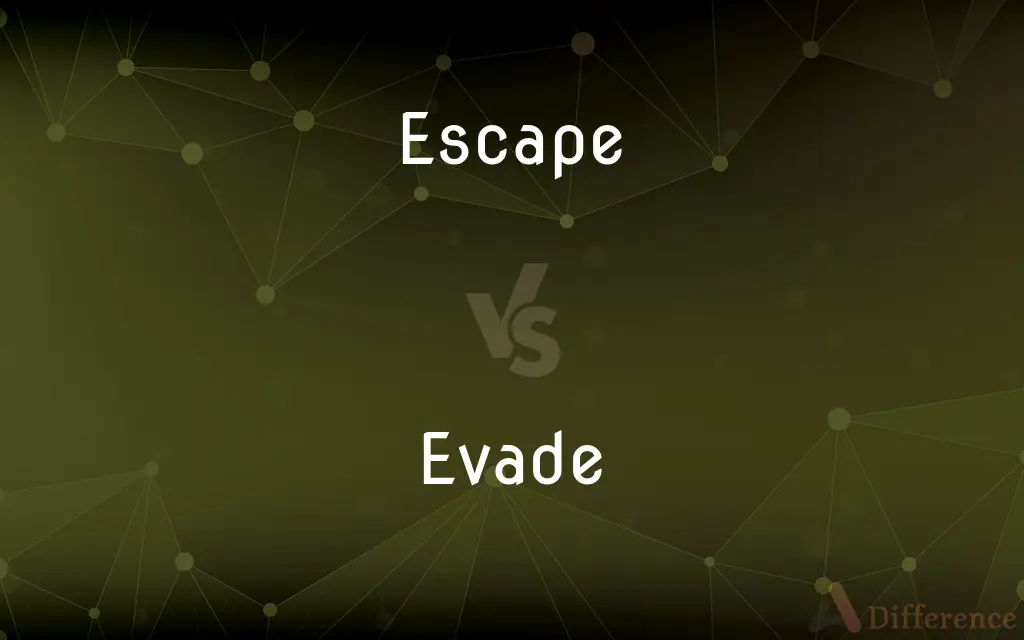 Escape vs. Evade — What's the Difference?