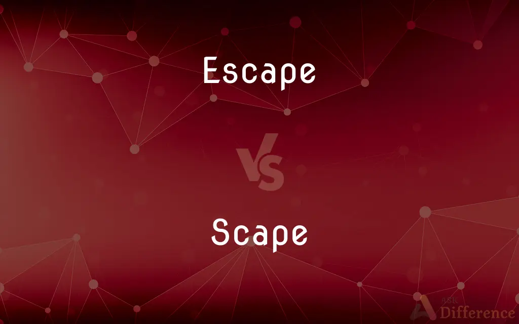 Escape vs. Scape — What's the Difference?