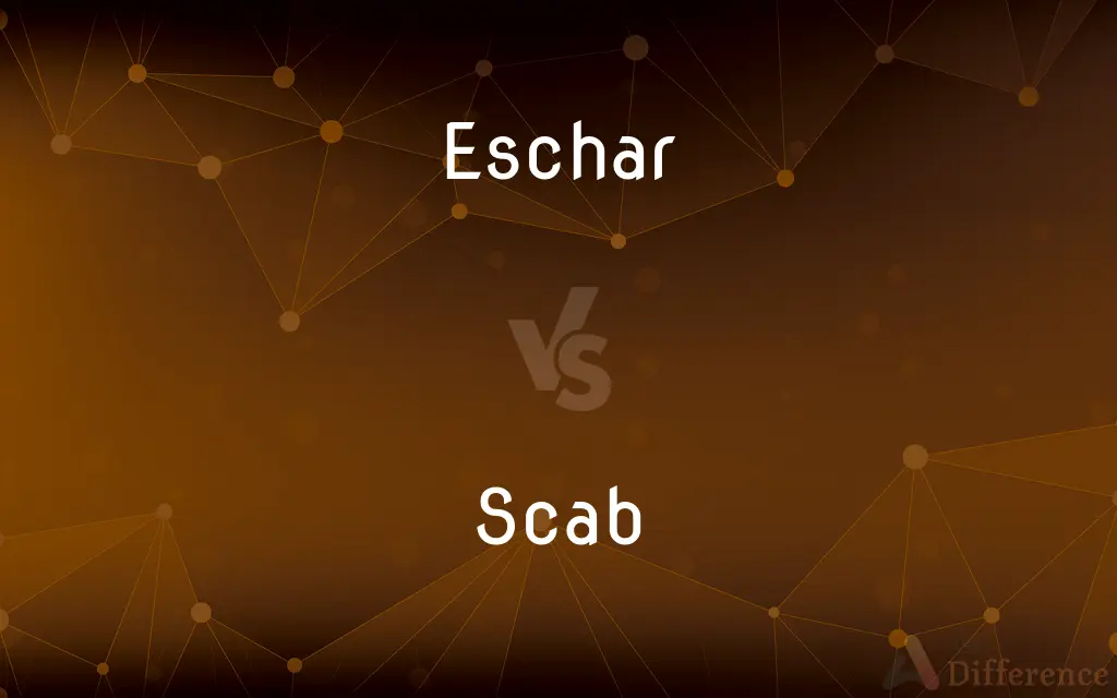 Eschar vs. Scab — What's the Difference?