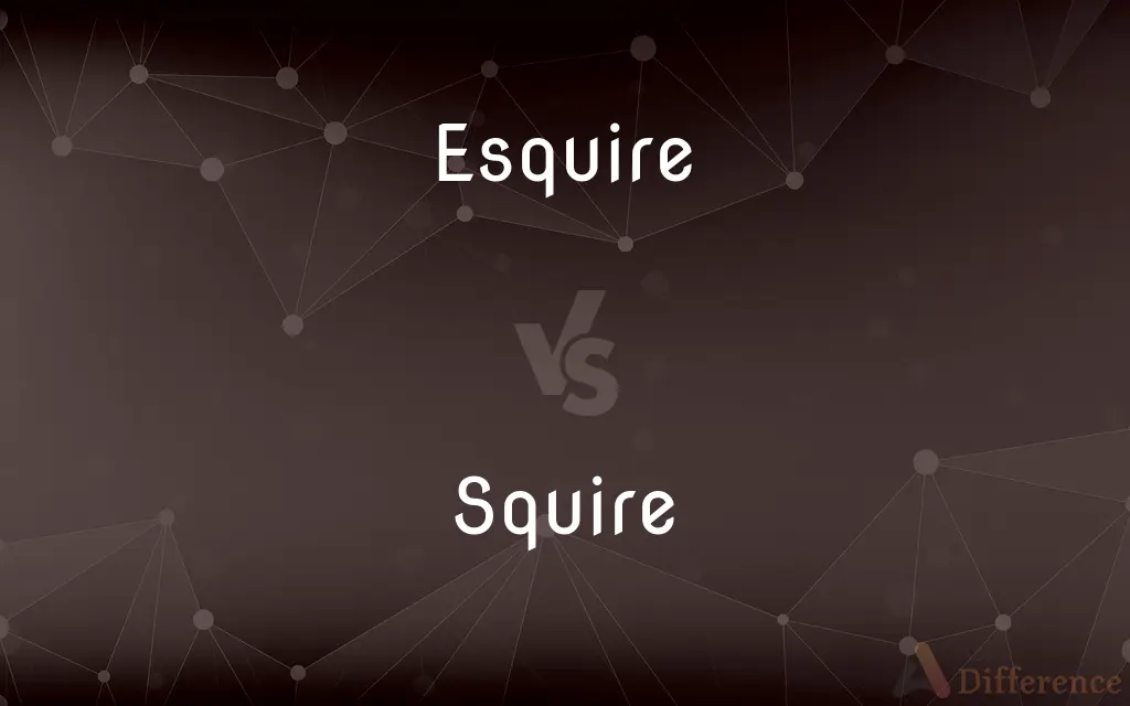 Esquire vs. Squire — What's the Difference?