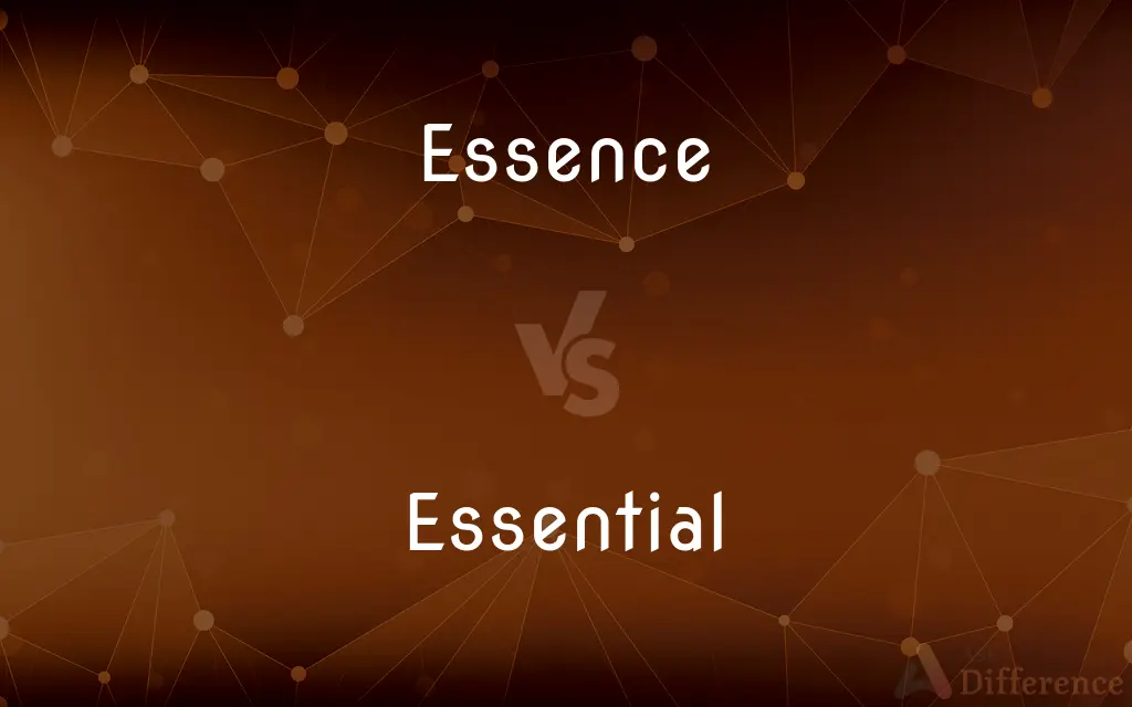 Essence vs. Essential — What's the Difference?
