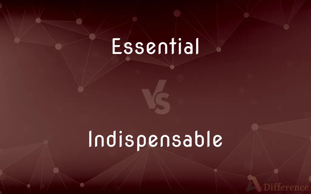 Essential vs. Indispensable — What's the Difference?