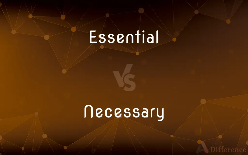 Essential vs. Necessary — What's the Difference?