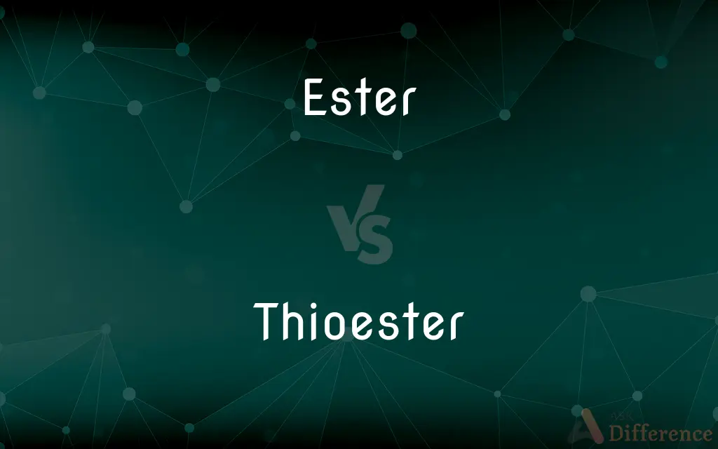 Ester vs. Thioester — What's the Difference?