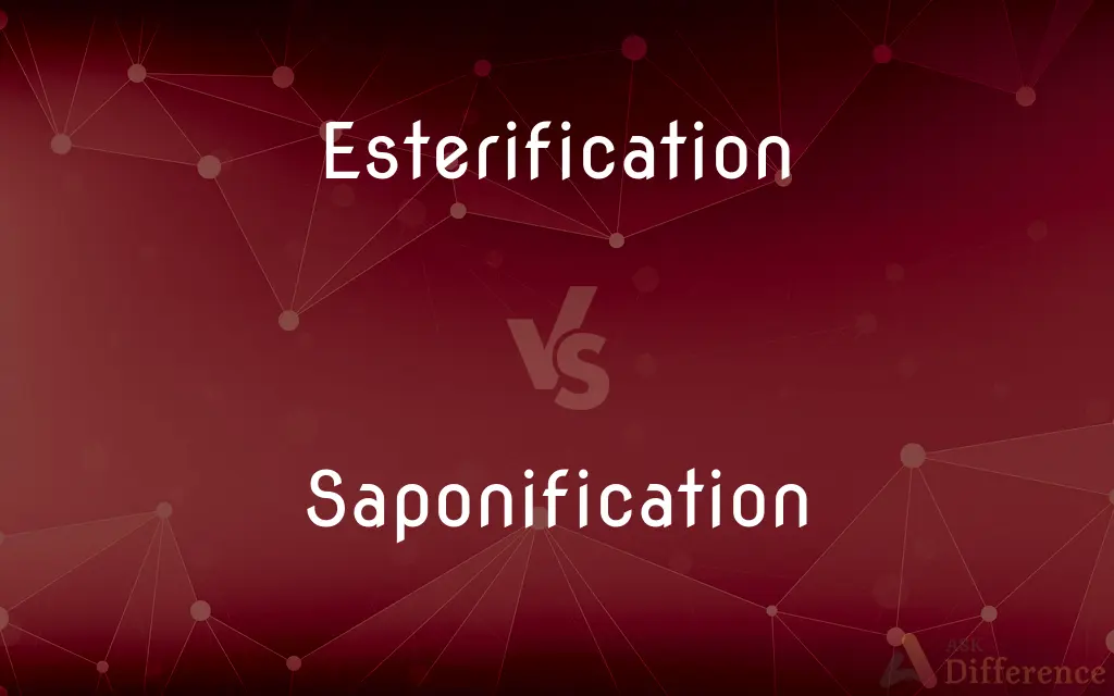Esterification vs. Saponification — What's the Difference?