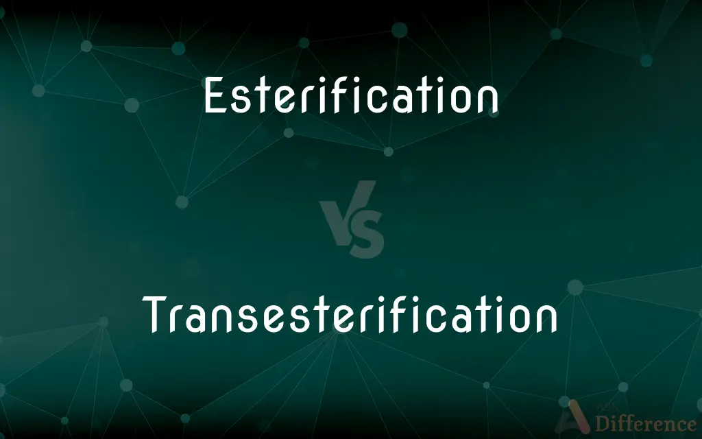 Esterification vs. Transesterification — What's the Difference?