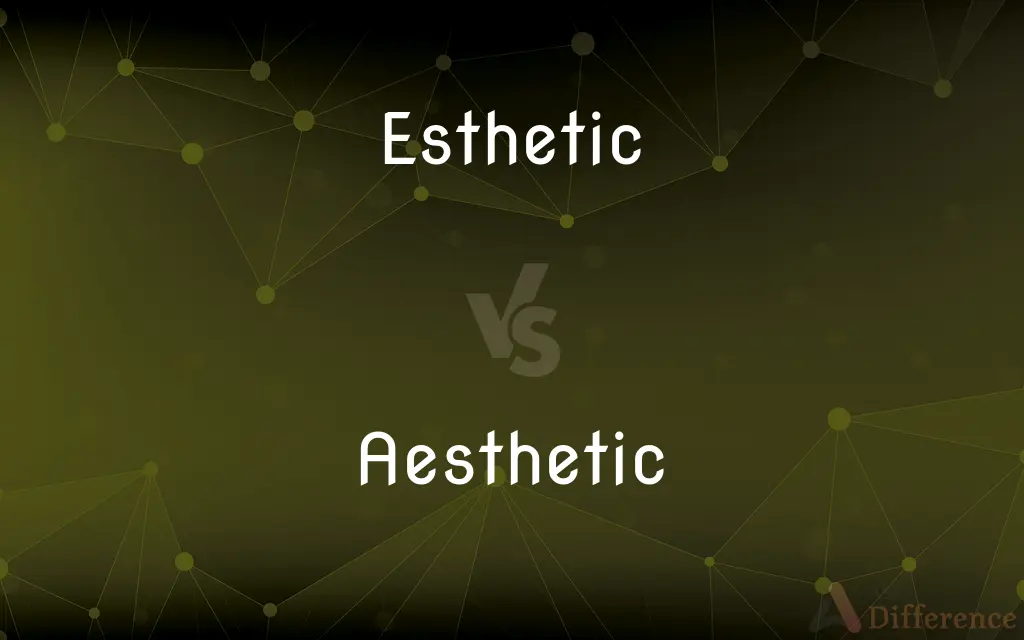 Esthetic vs. Aesthetic — What's the Difference?