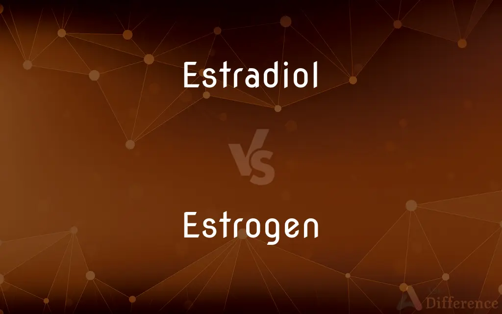 Estradiol vs. Estrogen — What's the Difference?