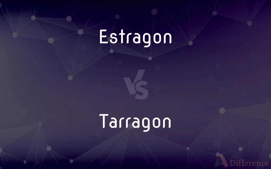 Estragon vs. Tarragon — What's the Difference?