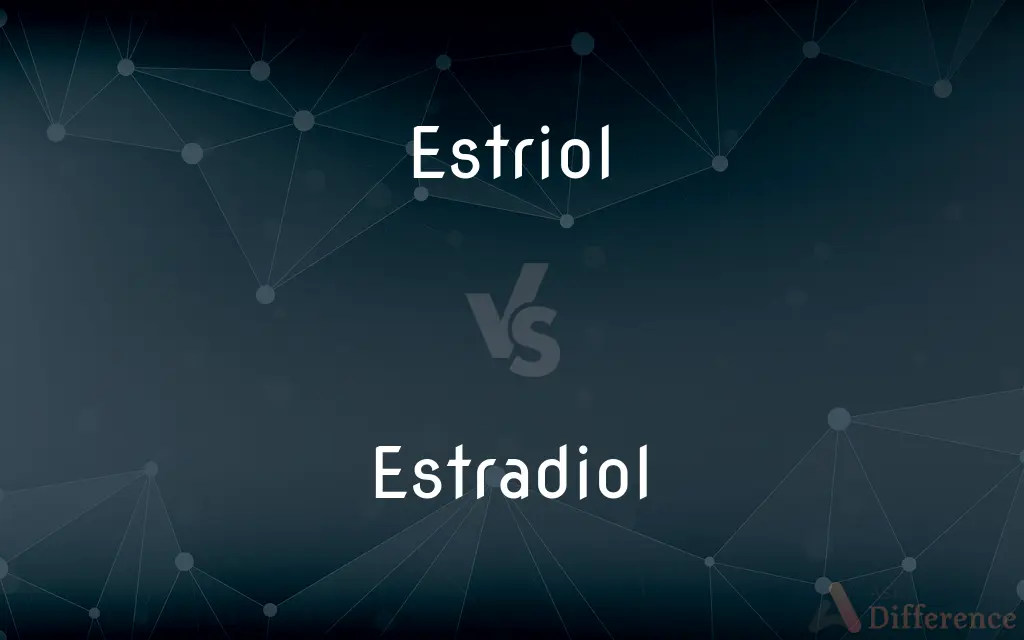 Estriol vs. Estradiol — What's the Difference?
