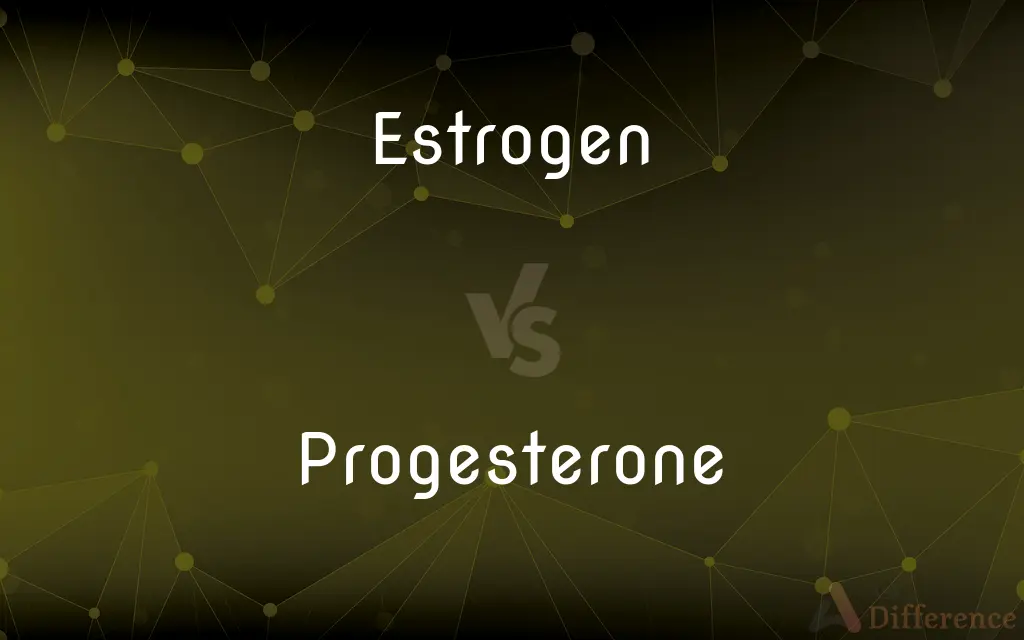 Estrogen vs. Progesterone — What's the Difference?