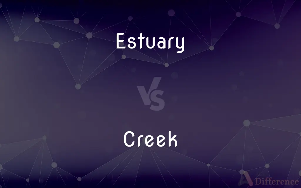 Estuary vs. Creek — What's the Difference?