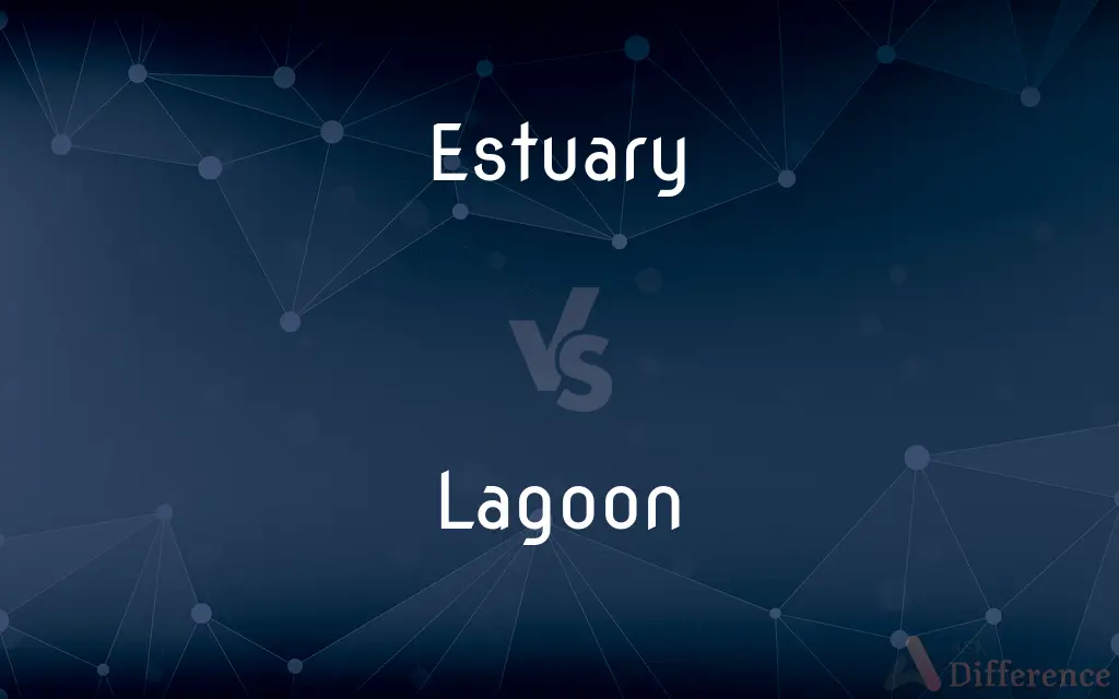 Estuary vs. Lagoon — What's the Difference?
