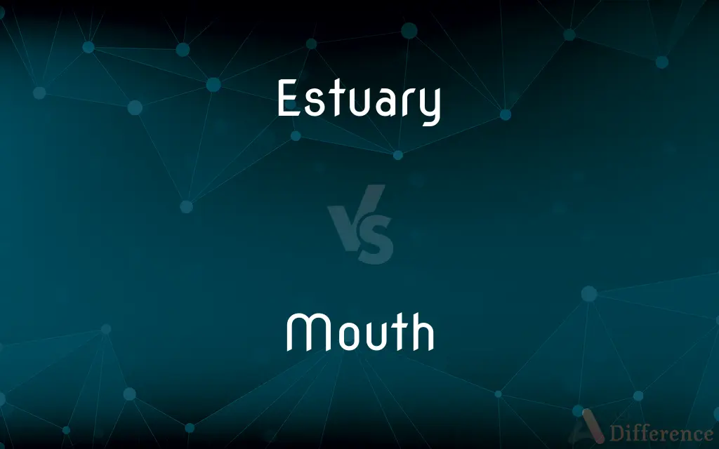 Estuary vs. Mouth — What's the Difference?