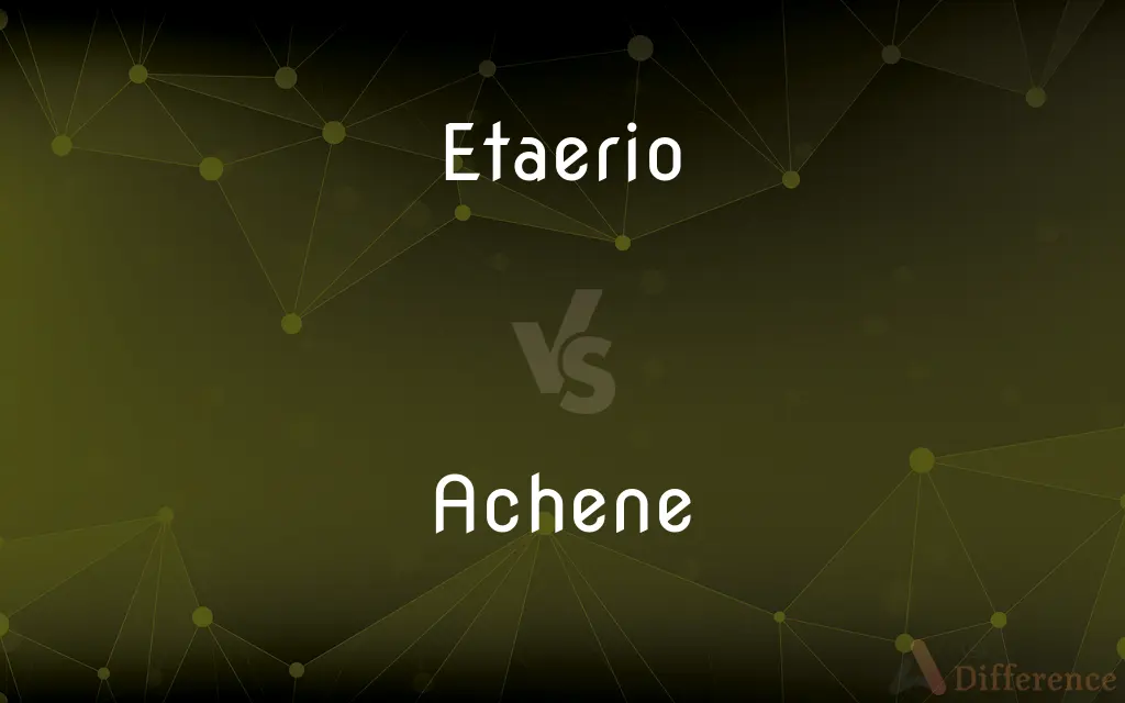 Etaerio vs. Achene — What's the Difference?