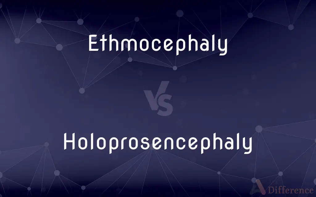 Ethmocephaly vs. Holoprosencephaly — What's the Difference?