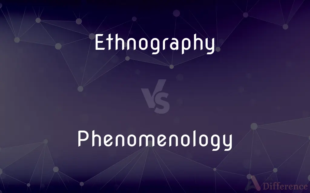 Ethnography vs. Phenomenology — What's the Difference?