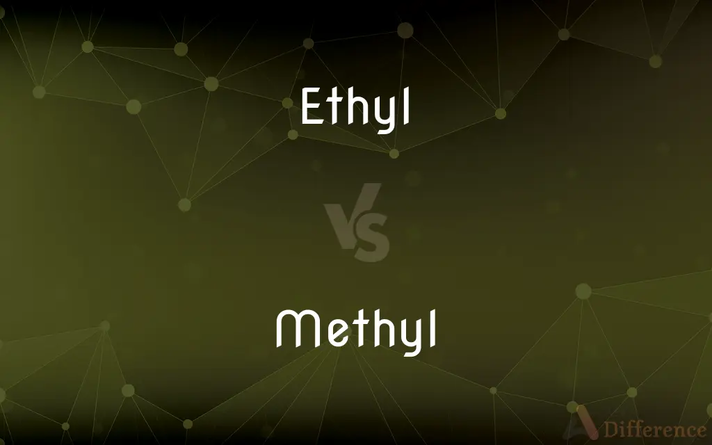 Ethyl vs. Methyl — What's the Difference?