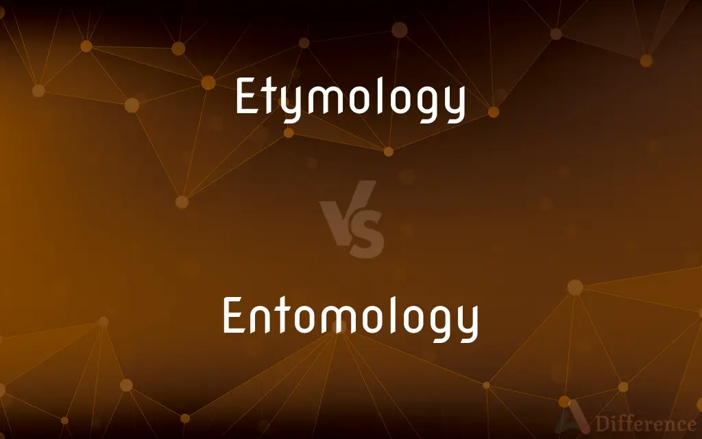 Etymology vs. Entomology — What's the Difference?