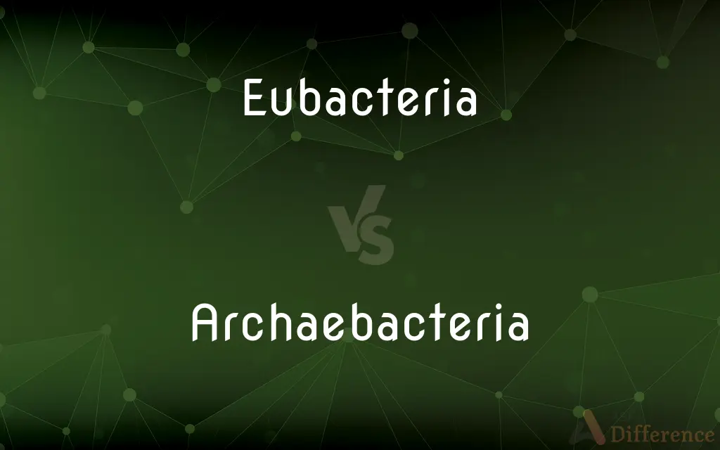 Eubacteria vs. Archaebacteria — What's the Difference?