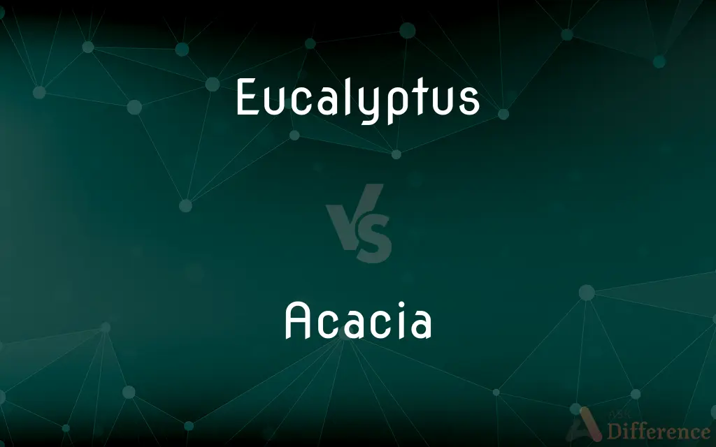 Eucalyptus vs. Acacia — What's the Difference?