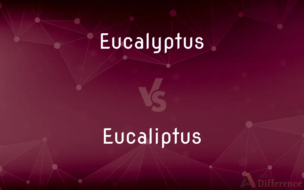 Eucalyptus vs. Eucaliptus — What's the Difference?