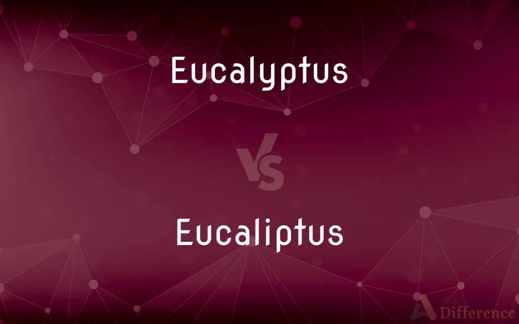 Eucalyptus vs. Eucaliptus — Which is Correct Spelling?