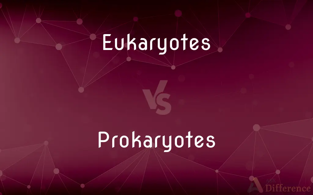 Eukaryotes vs. Prokaryotes — What's the Difference?