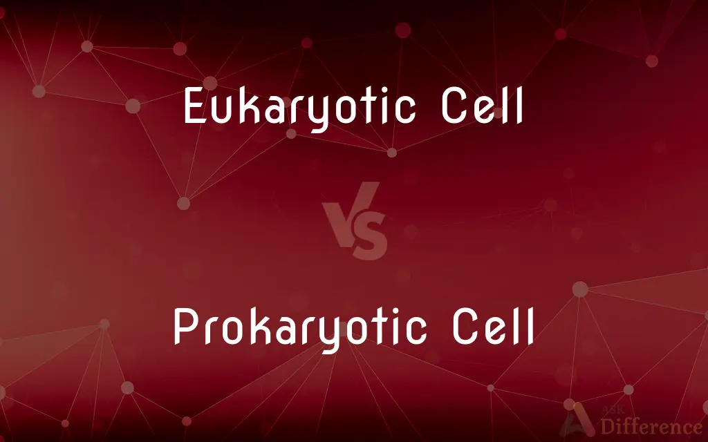 Eukaryotic Cell vs. Prokaryotic Cell — What's the Difference?