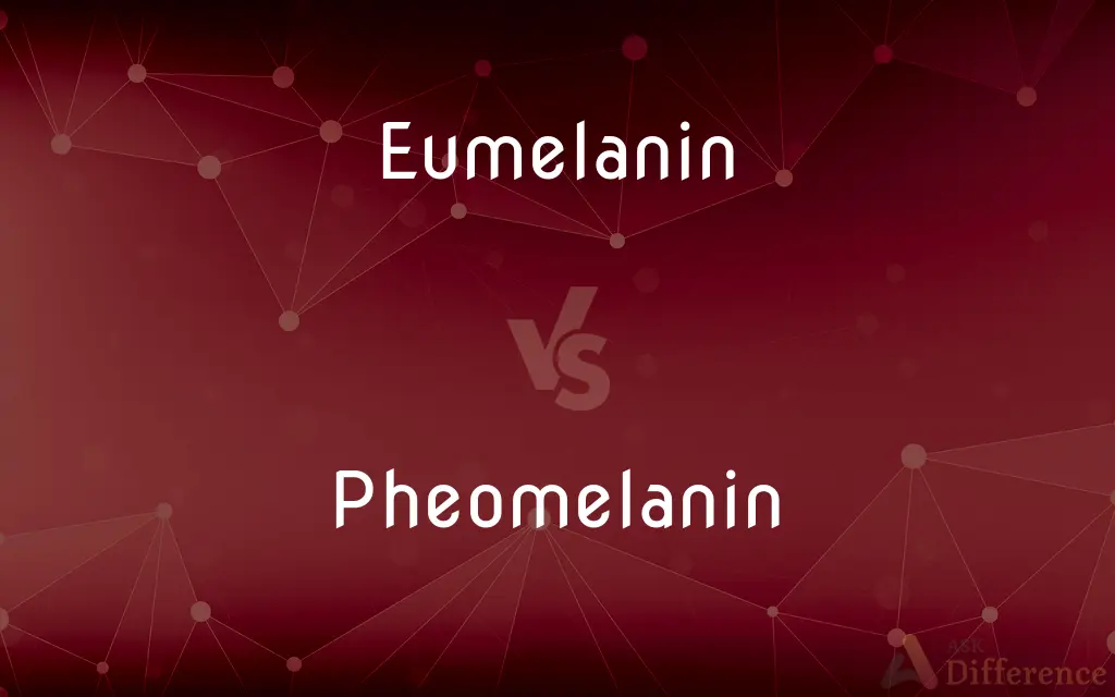 Eumelanin vs. Pheomelanin — What's the Difference?