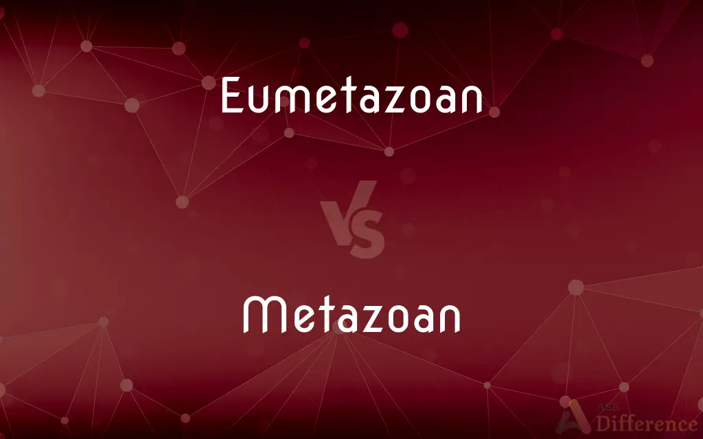 Eumetazoan vs. Metazoan — What's the Difference?