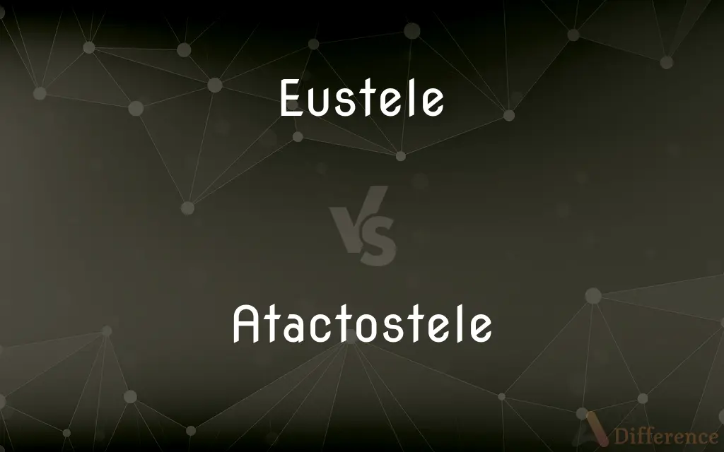 Eustele vs. Atactostele — What's the Difference?
