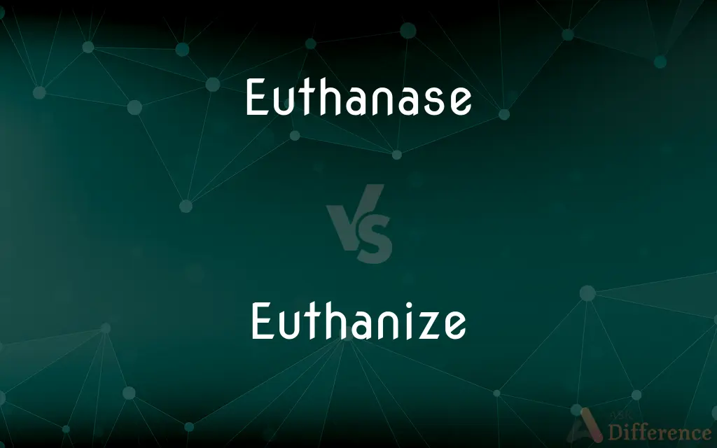 Euthanase vs. Euthanize — Which is Correct Spelling?