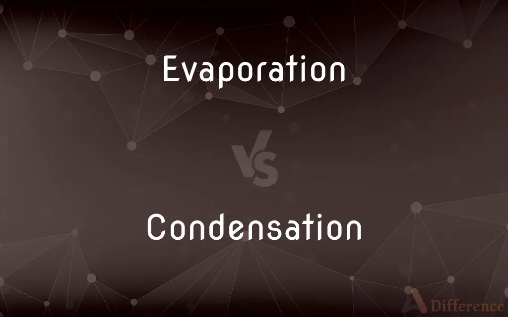 Evaporation vs. Condensation — What's the Difference?