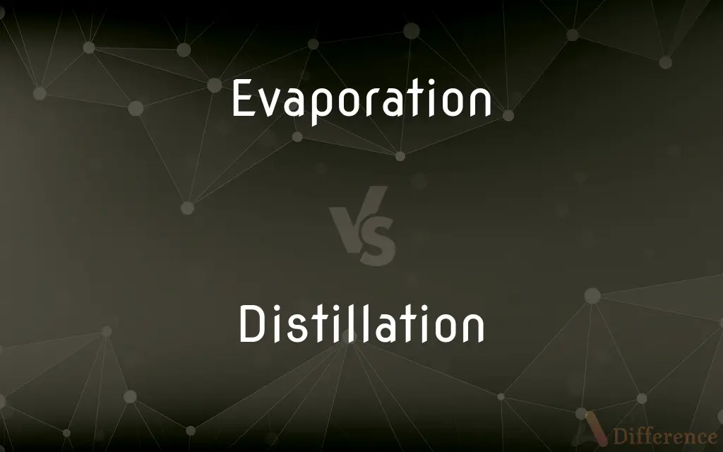 Evaporation vs. Distillation — What's the Difference?