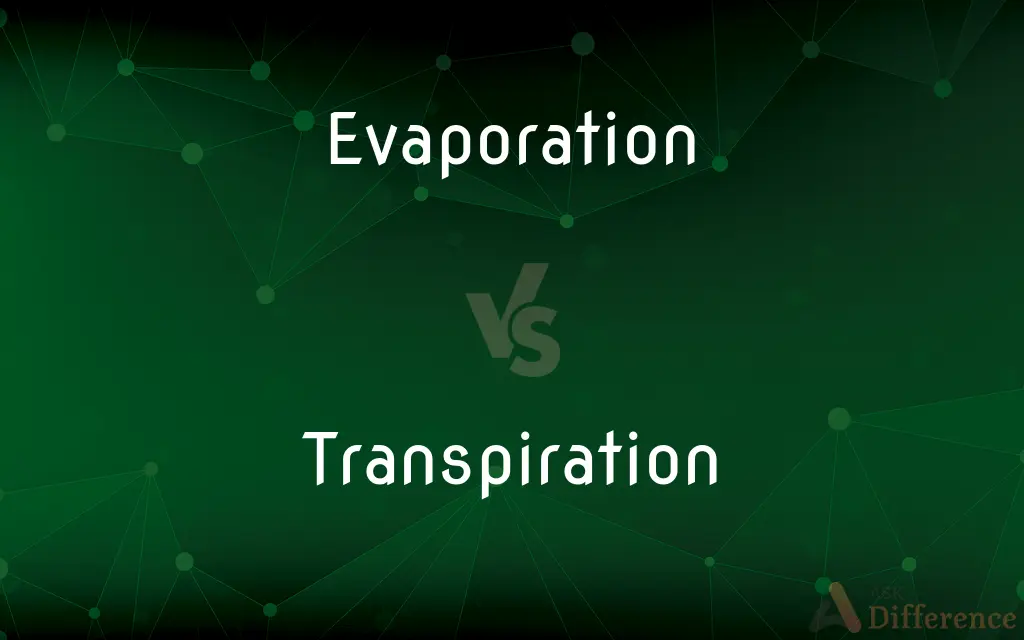 Evaporation vs. Transpiration — What's the Difference?