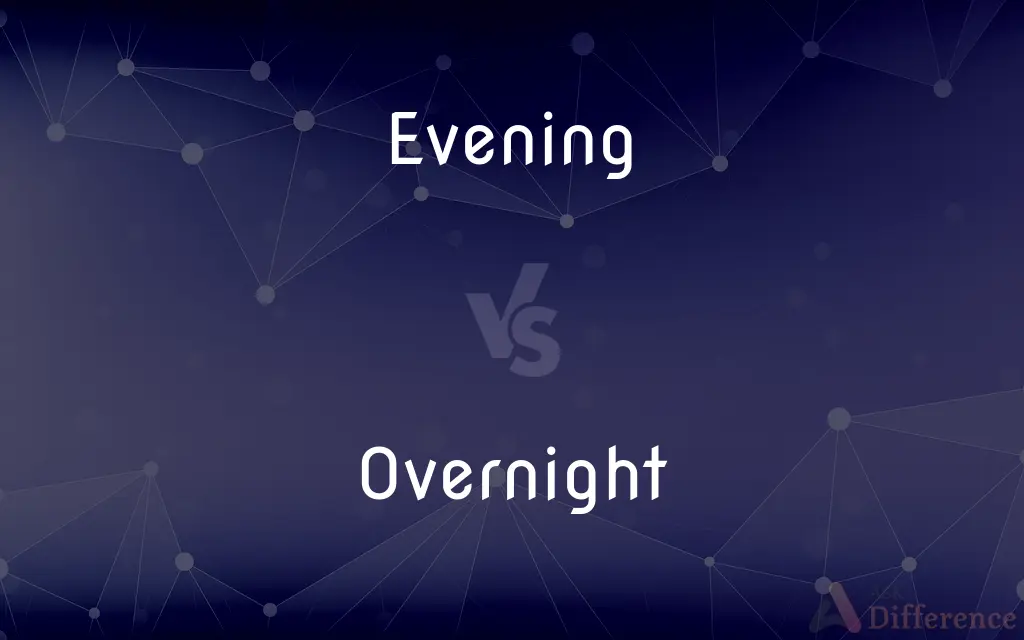 Evening vs. Overnight — What's the Difference?