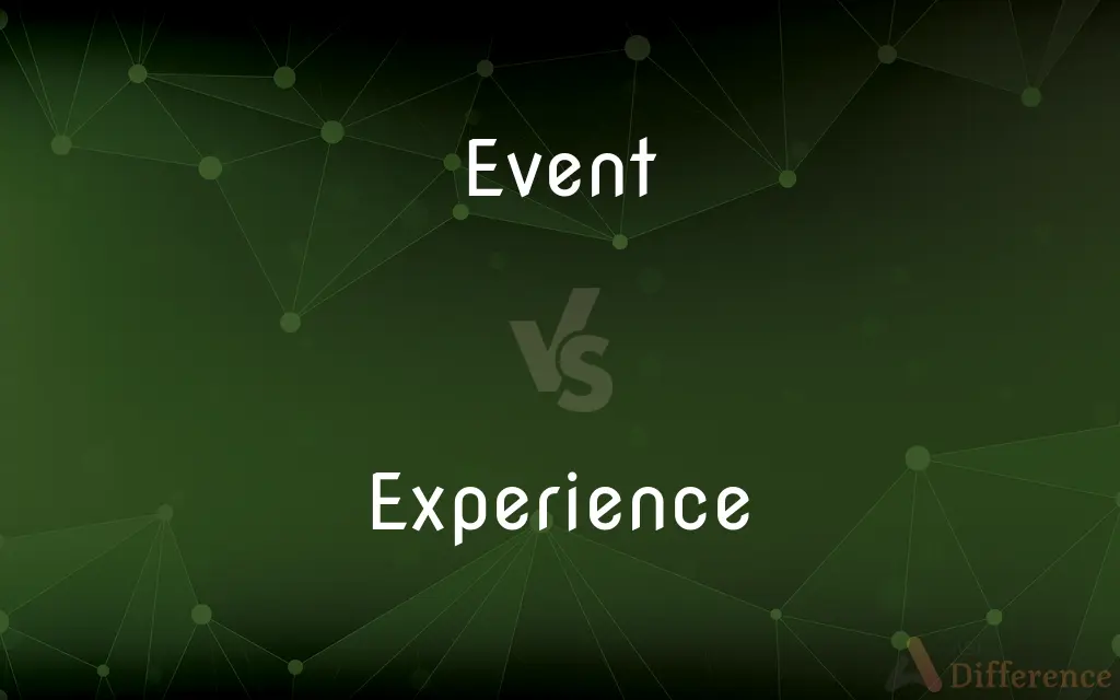 Event vs. Experience — What's the Difference?