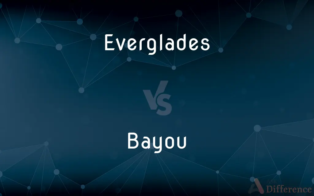 Everglades vs. Bayou — What's the Difference?