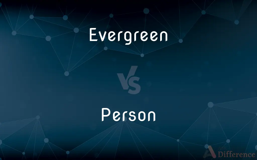 Evergreen vs. Person — What's the Difference?